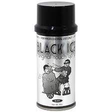 Black Ice Touch Up Spray 4oz